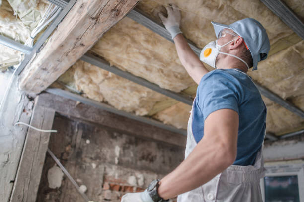 Best Insulation Installation Services in Shullsburg, WI