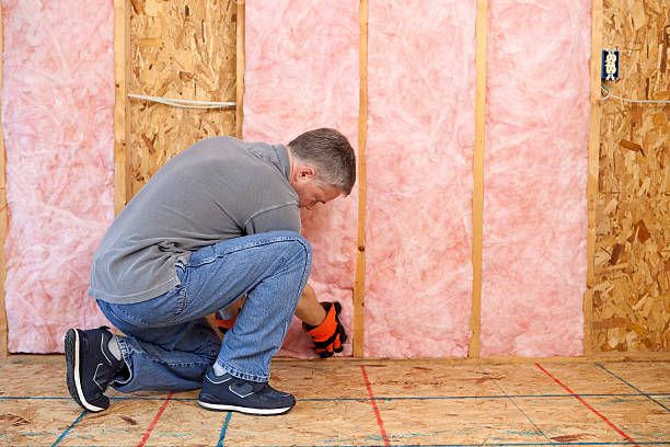 Best Insulation Maintenance and Repair in Shullsburg, WI
