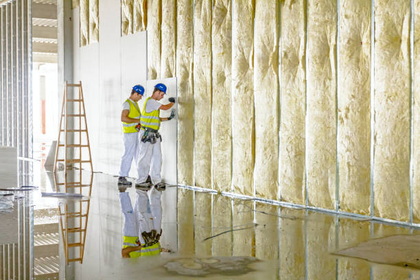 Best Commercial Insulation in Shullsburg, WI
